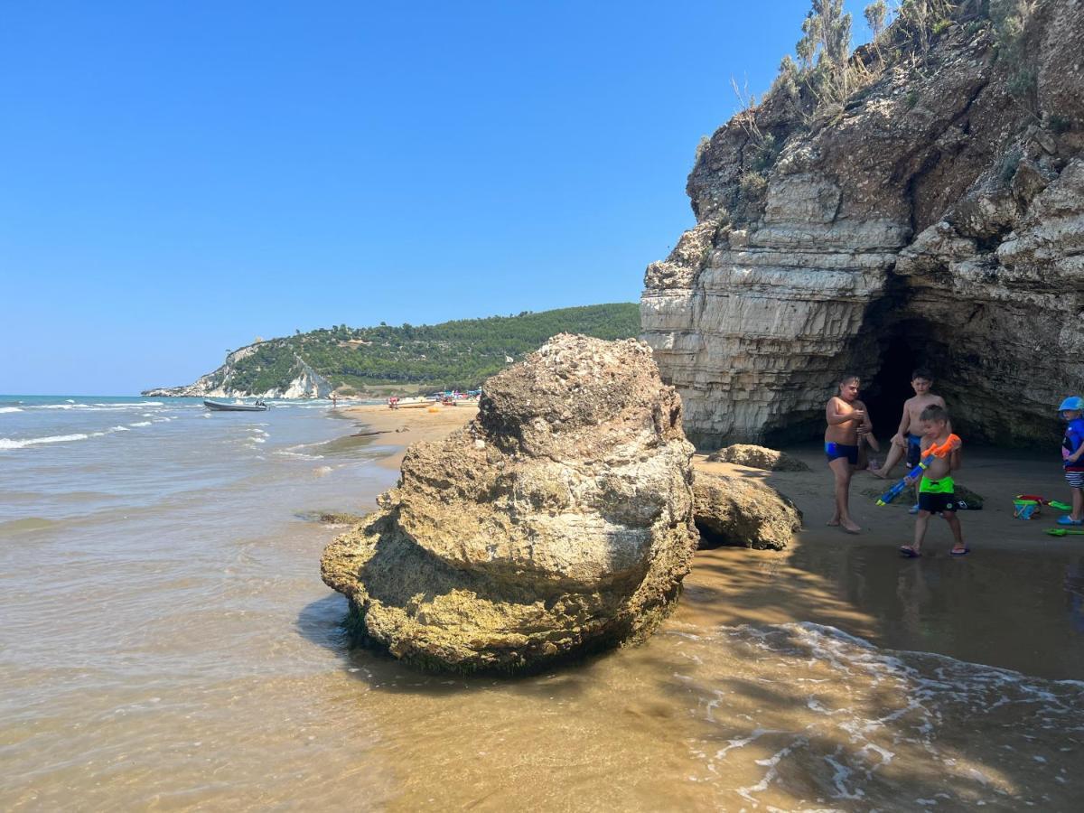 Casa Vacanze Refugium & Lounge Ferienwohnung فيكو دل غراغانو المظهر الخارجي الصورة
